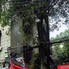 #长沙#,#扫街# 千万不要被那些偷拍狗给坏事了